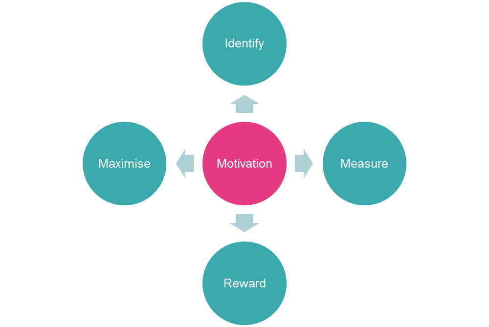 What are Motivational Maps®?